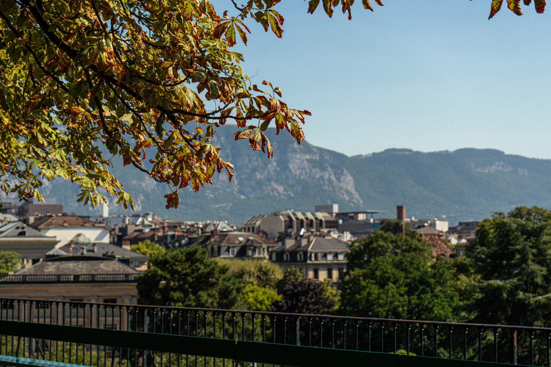 IA et Recherche Juridique Suisse : Optimisation pour Avocats